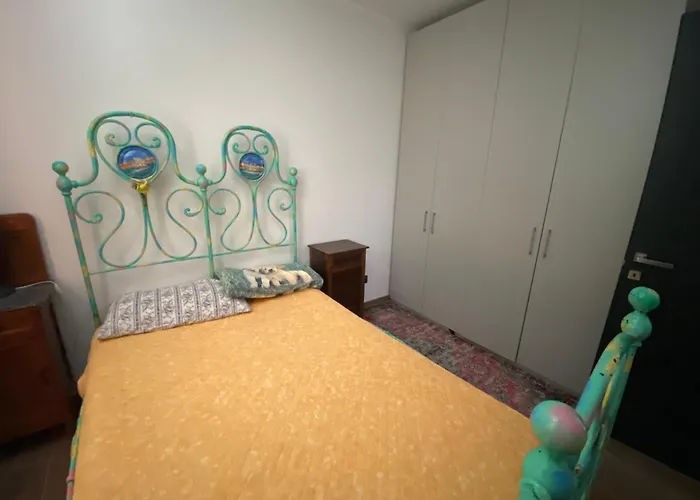 Cactus House