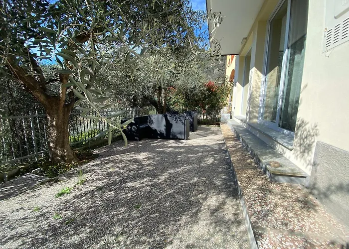 Cactus House