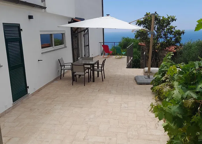 Il Mare Tra Gli Olivi